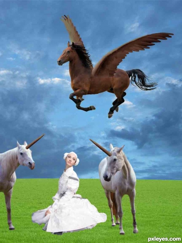 Creation of Pegasus, unicorns and a maiden: Step 9